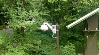 20250612_112711_R.JPG