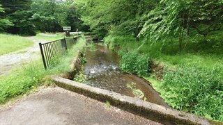 20250612_112753_R.JPG