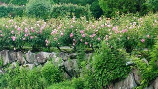 20250615_173400-EDIT_R.jpg