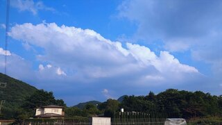 20250617_171644-EDIT_R.jpg