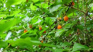 20250618_173516~2_R.JPG