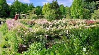 20250622_072740_R.JPG