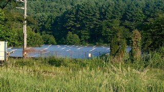 20250618_054904_R.JPG