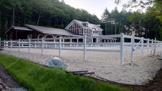 20250618_055038_R.JPG