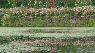 20250626_054510_R.JPG