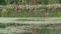 20250626_054510_R.JPG