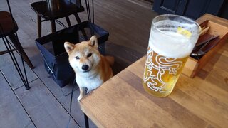 20250627_184212_R.JPG