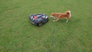 20250702_065845_R.JPG