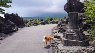 20250702_104540_R.JPG