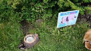 20250702_112806_R.JPG