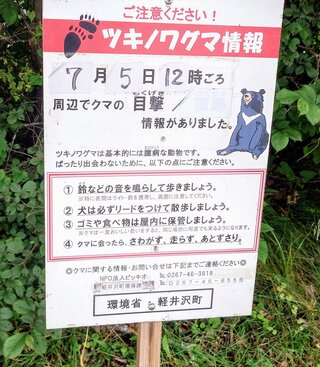20250705_154551_R.JPG