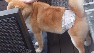 20250705_171826_R.JPG
