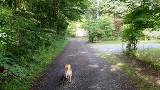 20250706_064632_R.JPG