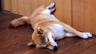 20250708_160521_R.JPG
