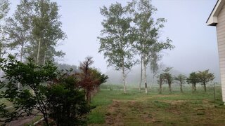 20250709_055400_R.JPG