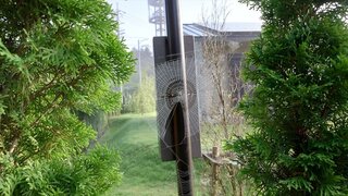 20250709_060412_R.JPG