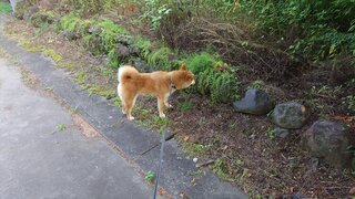 20250709_060559_R.JPG