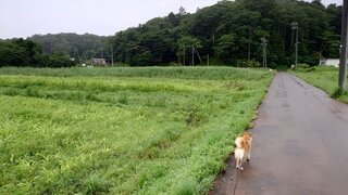 20250711_060542_R.JPG