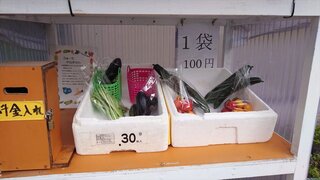 20250716_174202_R.JPG