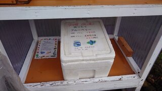 20250716_174204_R.JPG