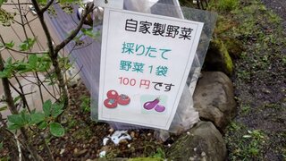 20250716_174332_R.JPG