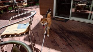 20250719_104016_R.JPG