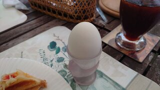 20250719_105417_R.JPG