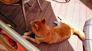 20250719_111148~2_R.JPG