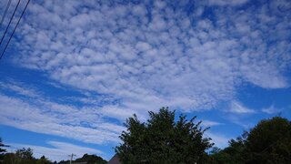 20250720_063347_R.JPG