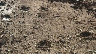 20250720_064843_R.JPG