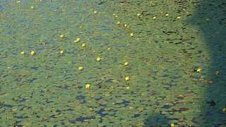 20250720_070024_R.JPG