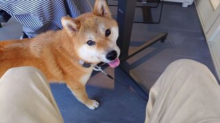 20250720_115449_R.JPG