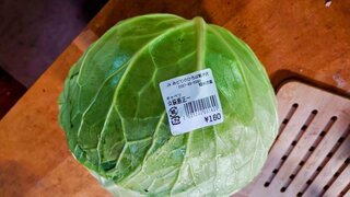 20250720_133250~2_R.JPG
