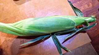 20250720_133255_R.JPG