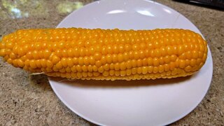 20250724_121027_R.JPG