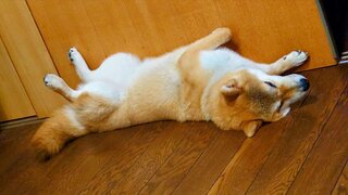 20250729_094940~2_R.JPG
