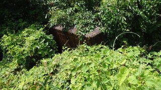 20250730_110143_R.JPG
