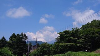 20250730_110244_R.JPG