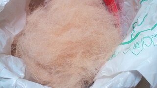 IMG_20250731_083918_R.jpg