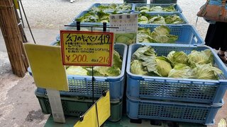 IMG_7515_R.JPG