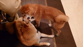 1755432552456_exported_6107_R.jpg