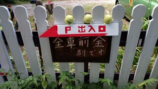 20250801_091840_R.JPG