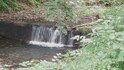 20250801_092640_R.JPG
