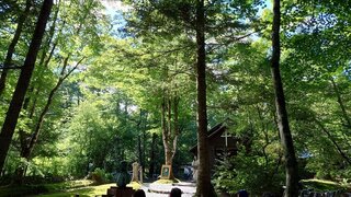 20250801_150542_R.JPG