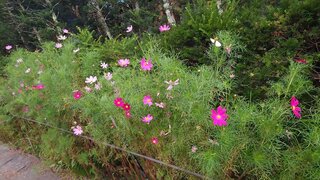 20250802_045911_R.JPG