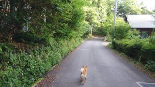 20250804_064717_R.JPG