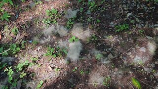 20250805_081937_R.JPG
