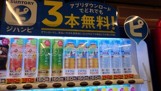 20250805_133731_R.JPG