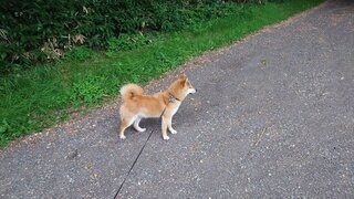 20250807_061255_R.JPG