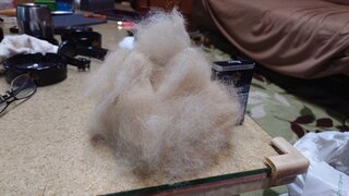 20250807_101944_R.JPG